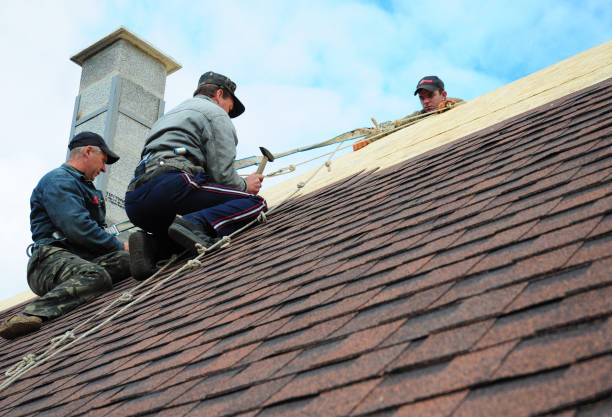 Best Roof Gutter Cleaning  in Ckam Housing, HI