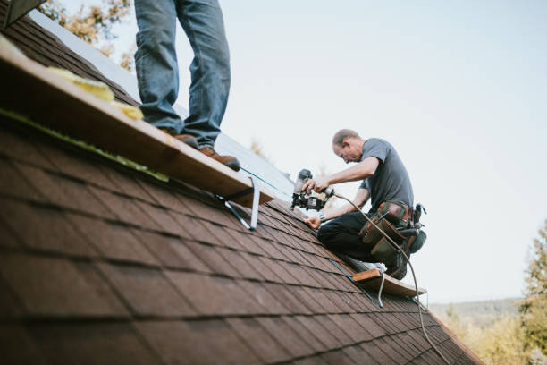 Best Shingle Roofing Installation  in Ckam Housing, HI